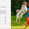 كاميرا تعمل بالتحريك والإمالة EZVIZ  Wi-Fi H8c ‎